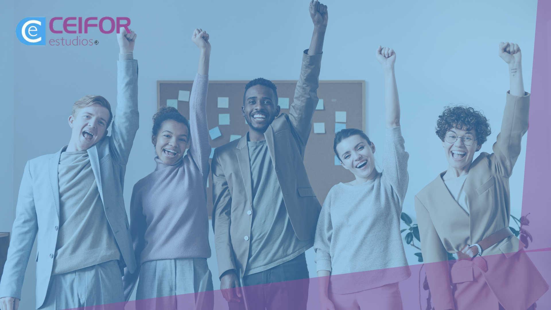 Preparación Examen Inglés nivel C1